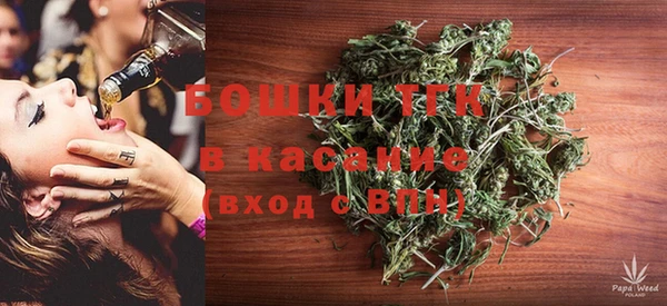 тгк Алзамай