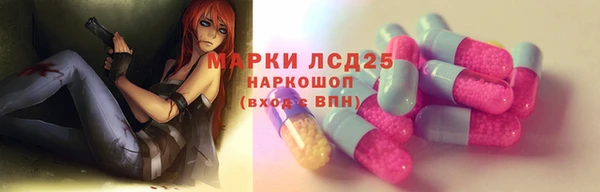 тгк Алзамай