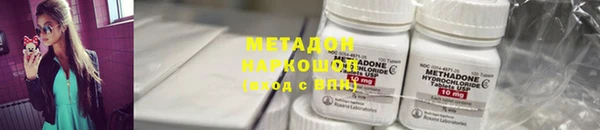 прущие грибы Алексеевка