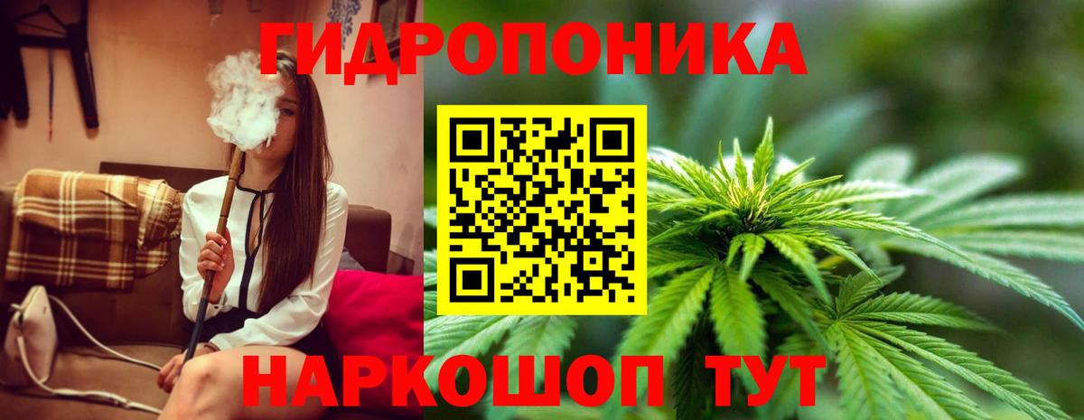 Марихуана Bruce Banner  МАРИХУАНА ГИДРОПОН  Конопля конопля  Ярцево  Вход с VPN 